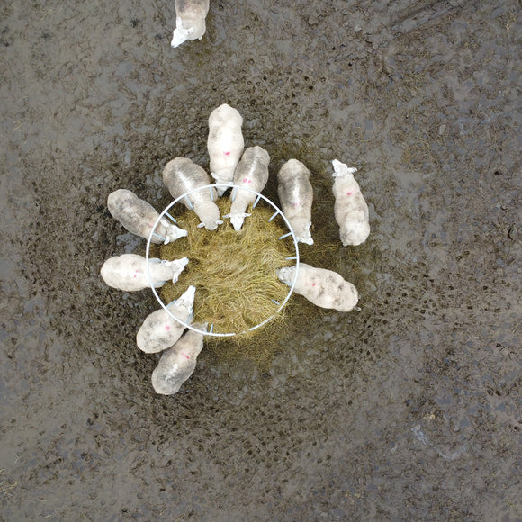 Premier Sheep Ring Feed Saver