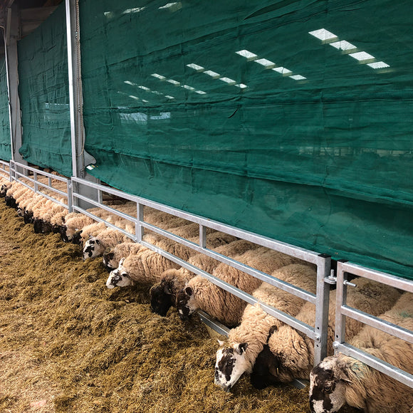 Sheep Sheds | Custom Steel Housing for UK Sheep Farms | Thorburn Group