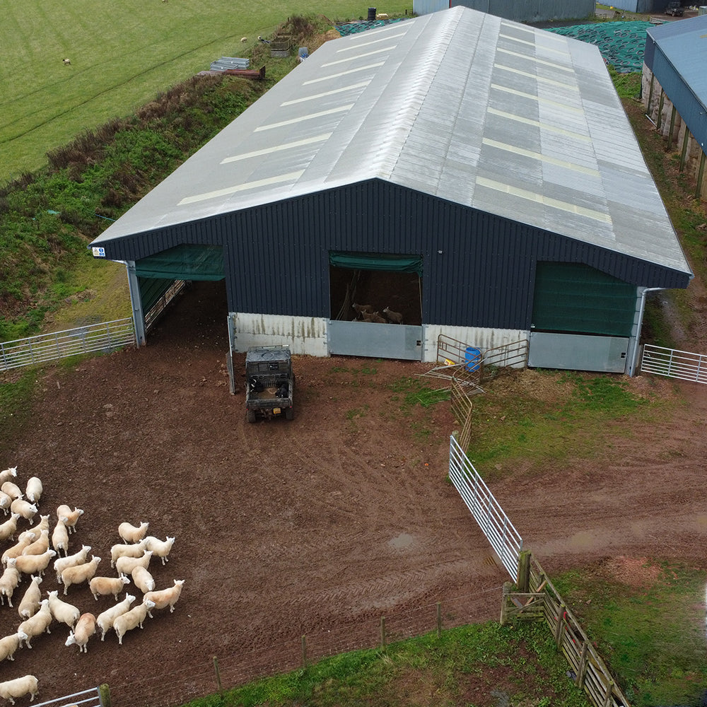 Sheep shed6