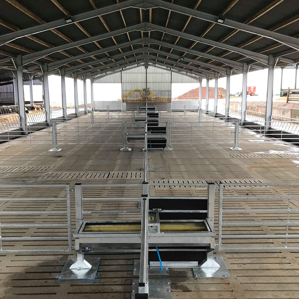 Slatted cattle court