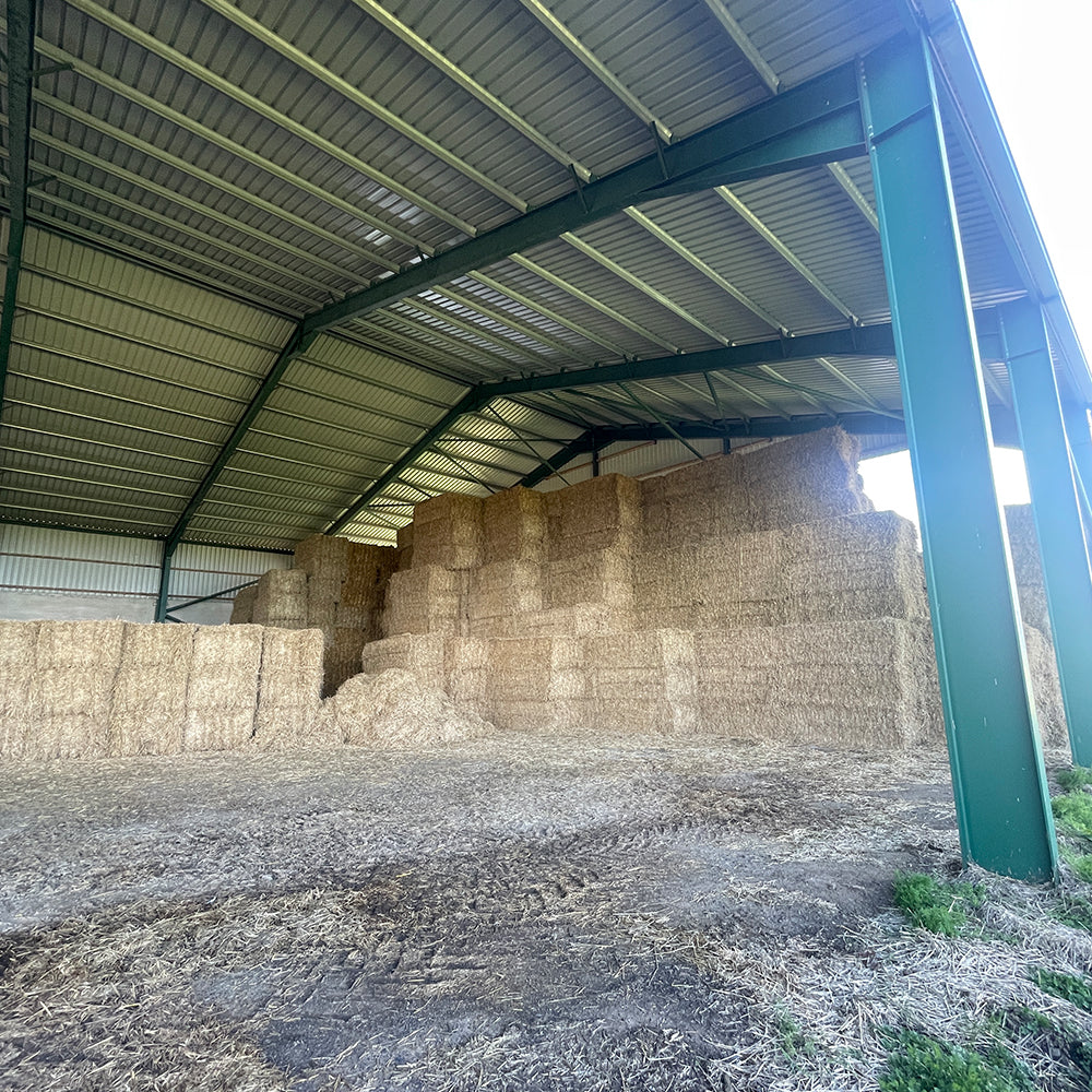 Straw shed17