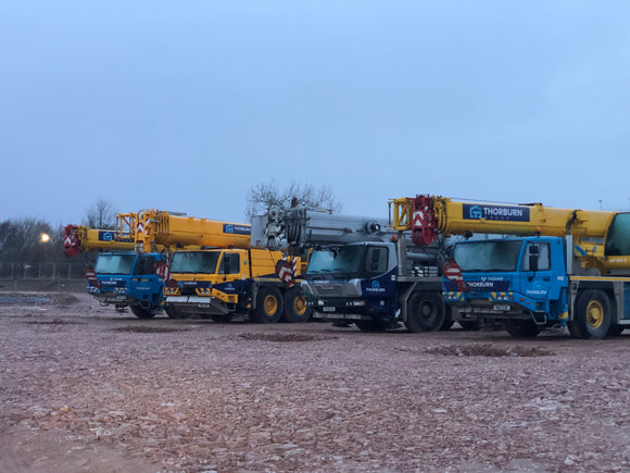 Thorbun group cranes2