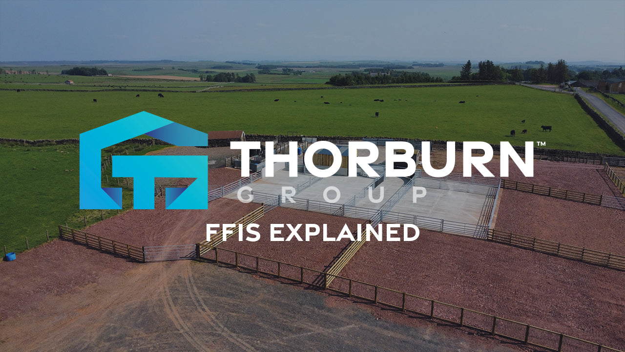 Thorburn group   ffis explained