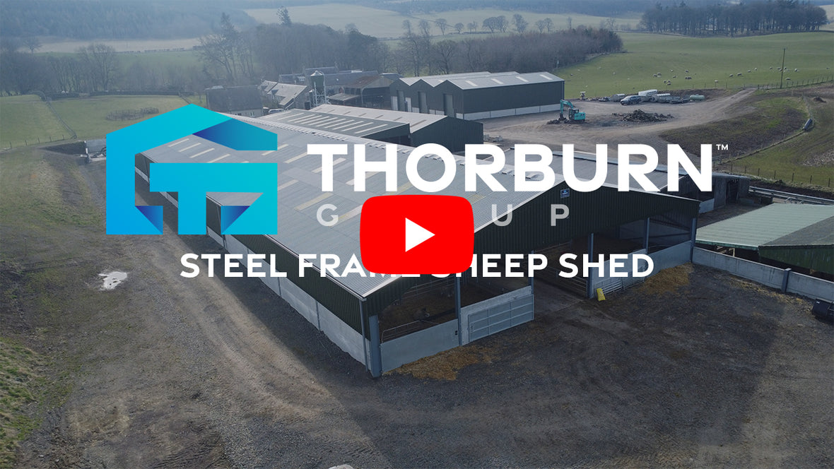 Stay Subscribed | Thorburn Group