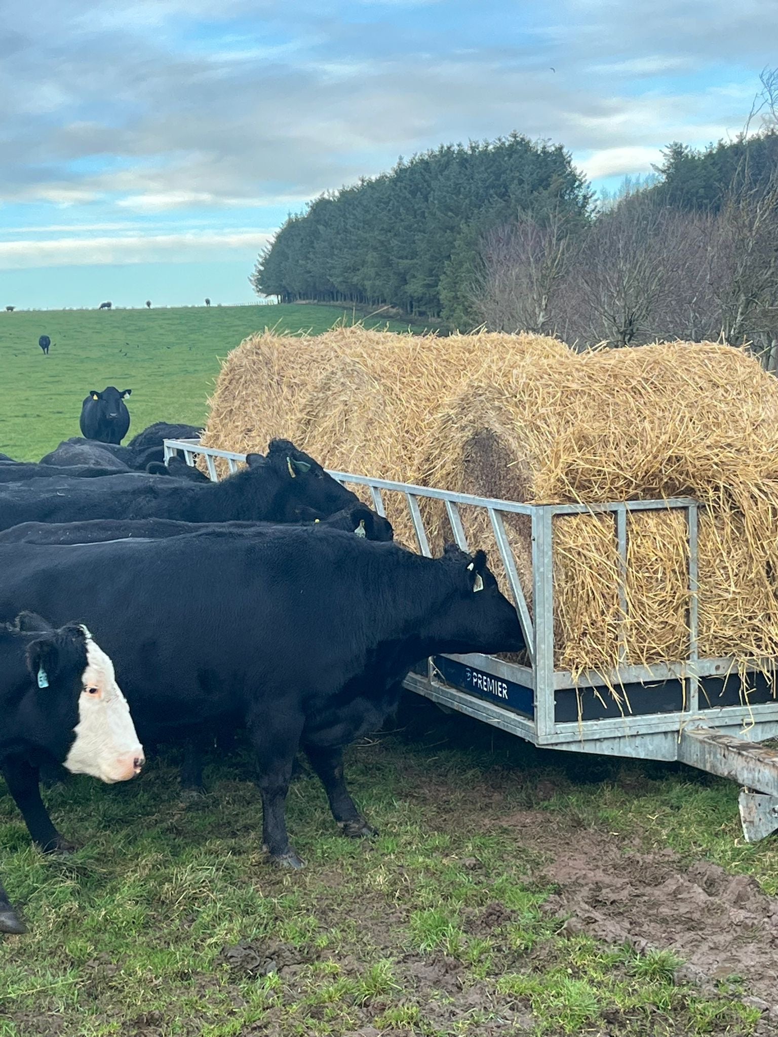 D7024ceb b969 4fc1 8357 52f4992cb393